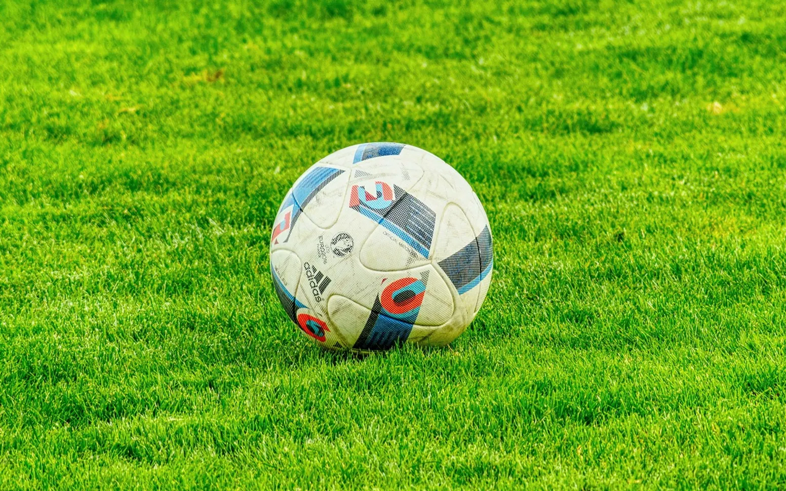 Football, nature and grass