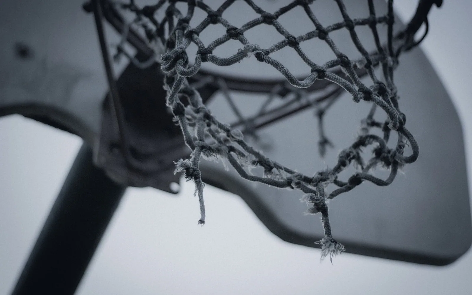 Basketball, basketball hoop and basketball ring