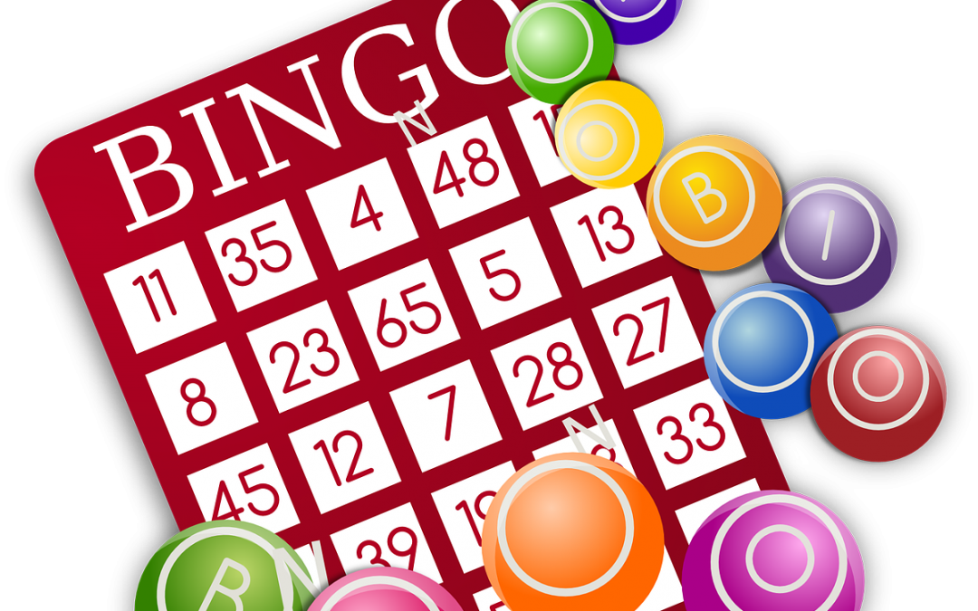 Bingo the 411 on fun!